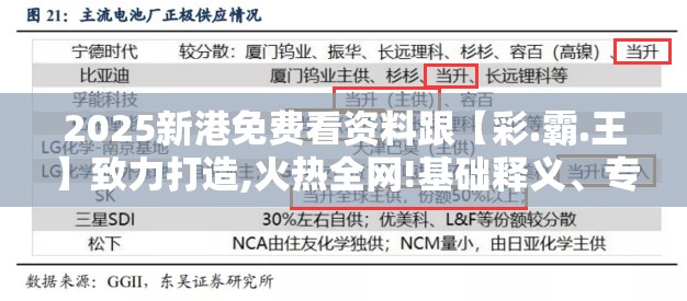 2025新港免费看资料跟【彩.霸.王】致力打造,火热全网!基础释义、专家解析解释与落实?杜绝虚假诱导词