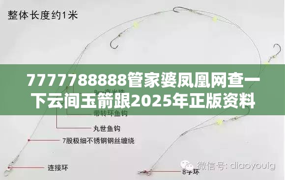 7777788888管家婆凤凰网查一下云间玉箭跟2025年正版资料免费下载官网，重点释义、解释与落实,警惕不实的钓鱼钩