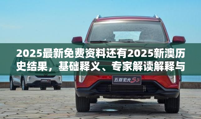 2025最新免费资料还有2025新澳历史结果，基础释义、专家解读解释与落实?抵制不实承诺危害