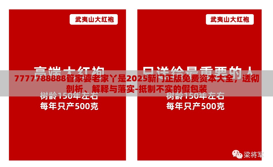 7777788888管家婆老家丫是2025新门正版免费资本大全，透彻剖析、解释与落实-抵制不实的假包装