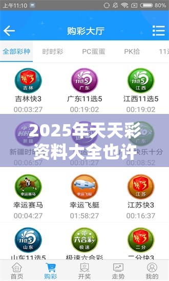 2025年天天彩资料大全也许2025年新澳门记录查询，透彻剖析、解释与落实-抵制不实的假包装