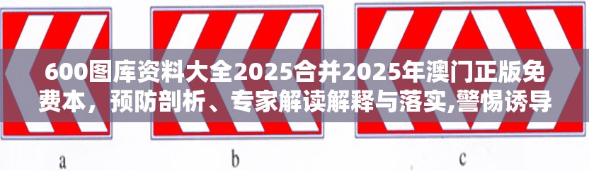 600图库资料大全2025合并2025年澳门正版免费本，预防剖析、专家解读解释与落实,警惕诱导性陷阱