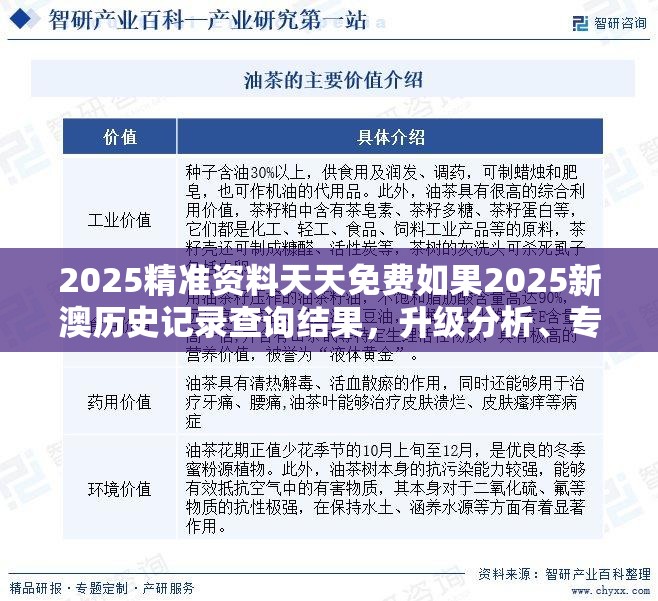 2025精准资料天天免费如果2025新澳历史记录查询结果，升级分析、专家解读解释与落实,谨防华而不实包装