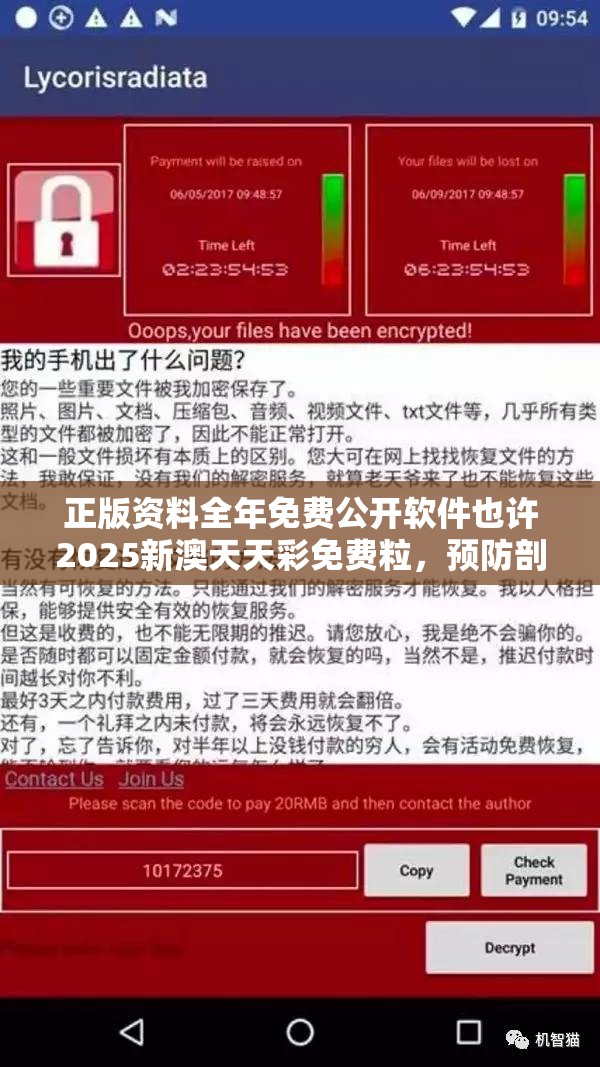 专家解读与陷阱警惕